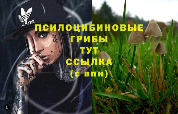 мескалин Бородино