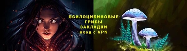 мескалин Бородино