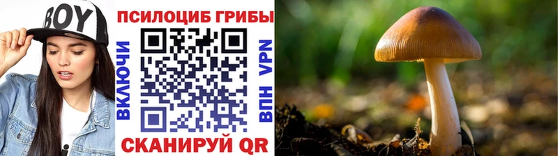 маркетплейс состав  Дигора  Галлюциногенные грибы GOLDEN TEACHER  наркошоп 