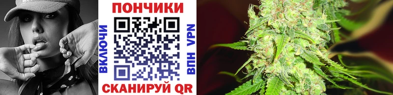 купить наркотик  Дигора  Шишки марихуана Amnesia 